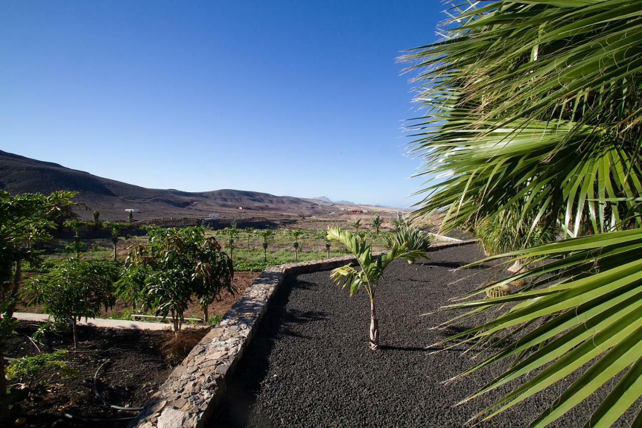 Finca Arbequina Pájara Εξωτερικό φωτογραφία