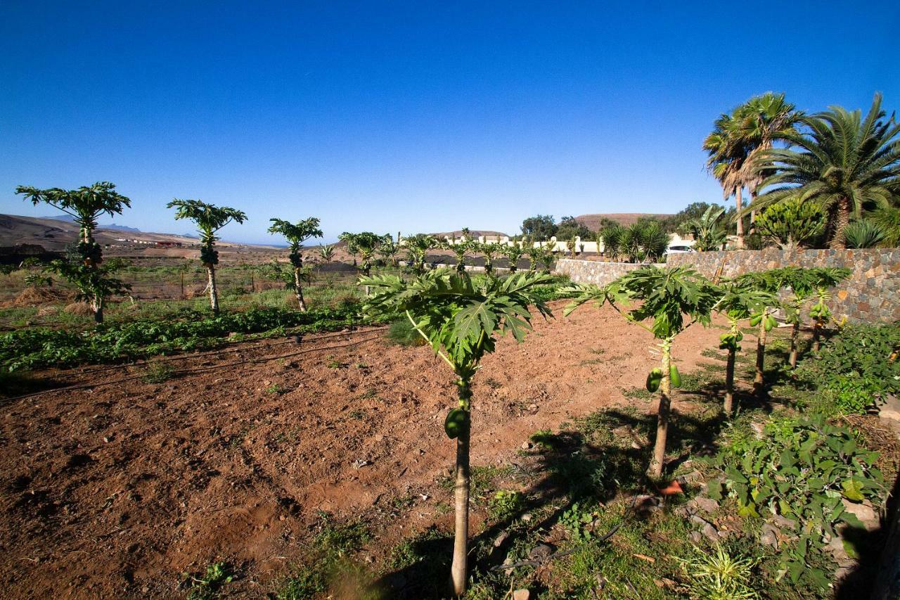 Finca Arbequina Pájara Εξωτερικό φωτογραφία